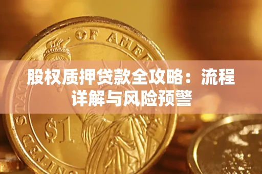 武汉股权质押贷款全攻略：流程详解与风险预警