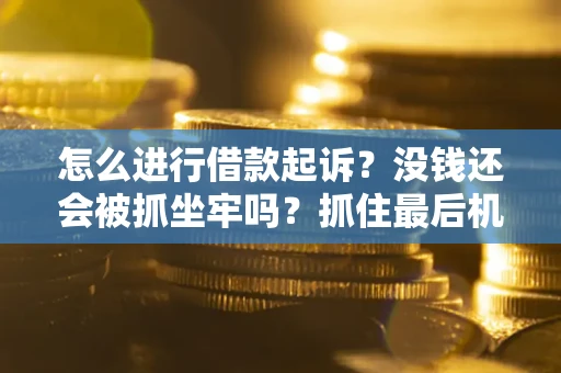 武汉怎么进行借款起诉？没钱还会被抓坐牢吗？抓住最后机会！