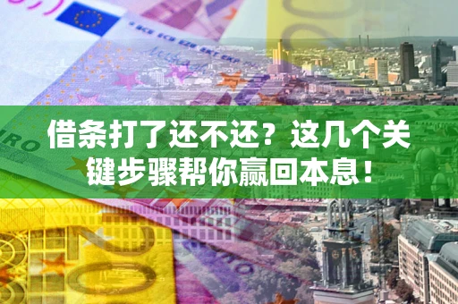 武汉借条打了还不还？这几个关键步骤帮你赢回本息！