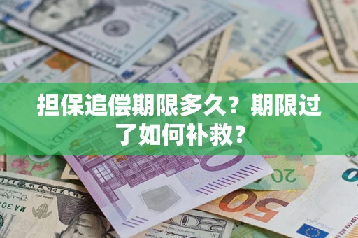 武汉担保追偿期限多久？期限过了如何补救？