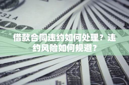 武汉借款合同违约如何处理？违约风险如何规避？
