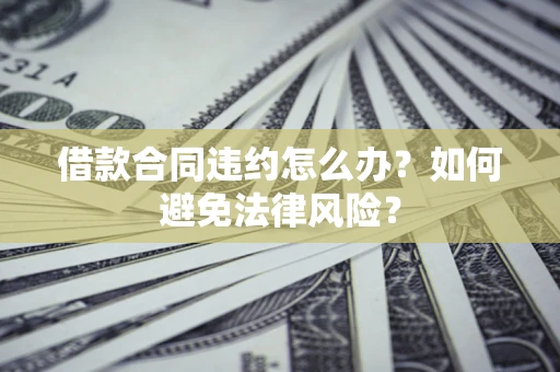 武汉借款合同违约怎么办？如何避免法律风险？
