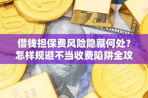 武汉借钱担保费风险隐藏何处？怎样规避不当收费陷阱全攻略！