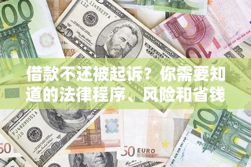 武汉借款不还被起诉？你需要知道的法律程序、风险和省钱技巧