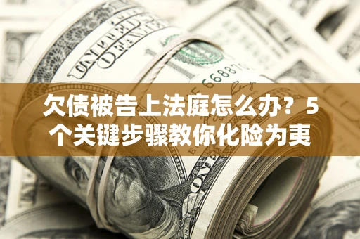 武汉欠债被告上法庭怎么办？5个关键步骤教你化险为夷